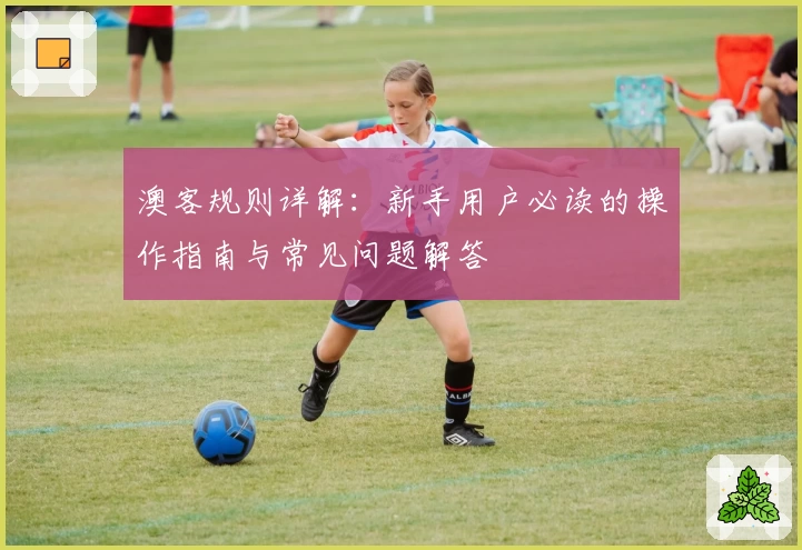 澳客规则详解：新手用户必读的操作指南与常见问题解答